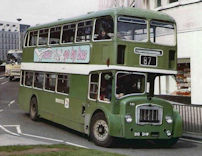 816SHW in 1981