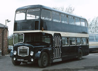 826SHW in 1981
