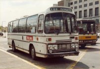 AFJ732T in allover white with Red Bus fleetnames