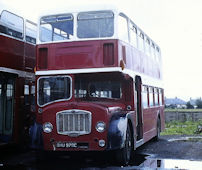 BHU979C with Pettigrew