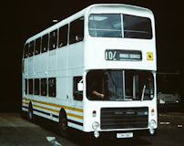 CNH56T with Country Lion
