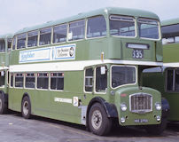 HAE275D in 1982