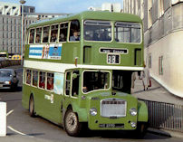 HAE277D in 1984