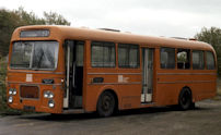 NTC114G in 1981