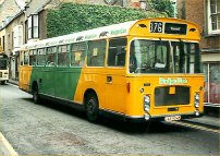OAE954M in Badgerline livery