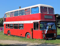 SNJ591R in 2026