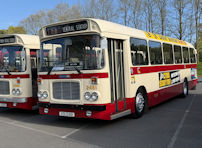 XOI2481 in 2026